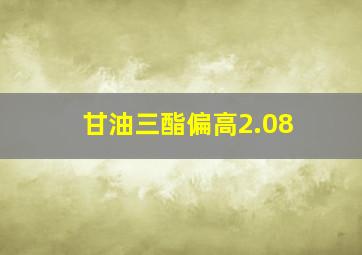 甘油三酯偏高2.08