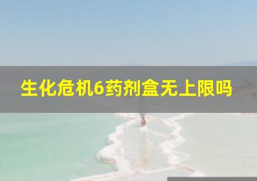 生化危机6药剂盒无上限吗