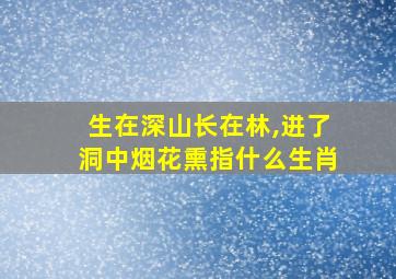 生在深山长在林,进了洞中烟花熏指什么生肖