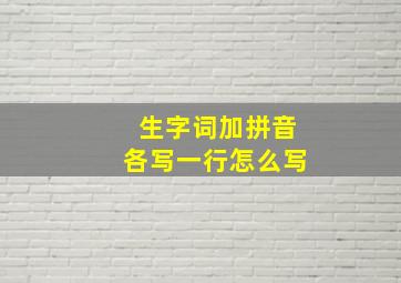 生字词加拼音各写一行怎么写