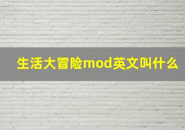 生活大冒险mod英文叫什么