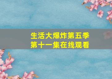 生活大爆炸第五季第十一集在线观看