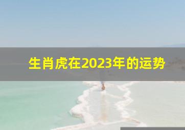 生肖虎在2023年的运势