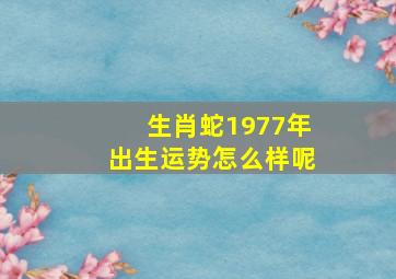 生肖蛇1977年出生运势怎么样呢