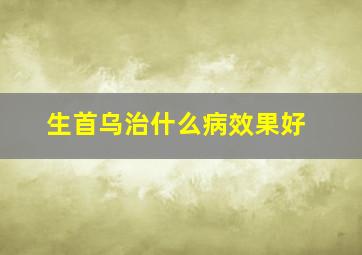 生首乌治什么病效果好