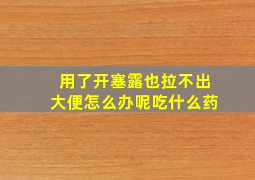 用了开塞露也拉不出大便怎么办呢吃什么药