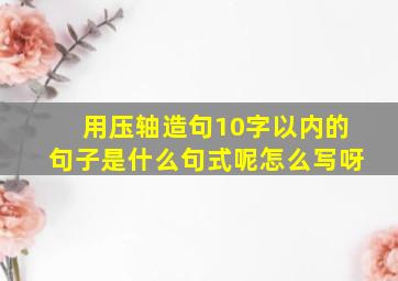 用压轴造句10字以内的句子是什么句式呢怎么写呀