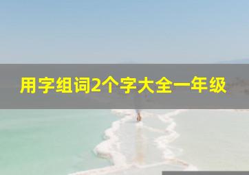 用字组词2个字大全一年级