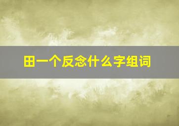 田一个反念什么字组词