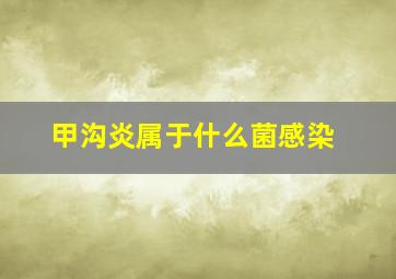 甲沟炎属于什么菌感染