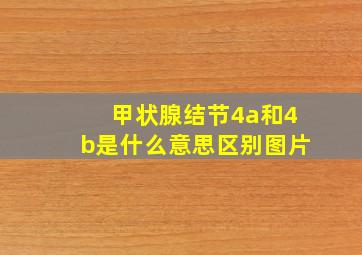 甲状腺结节4a和4b是什么意思区别图片