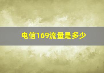 电信169流量是多少