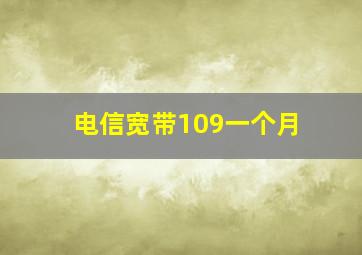 电信宽带109一个月