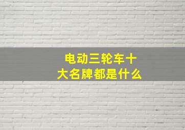 电动三轮车十大名牌都是什么