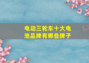 电动三轮车十大电池品牌有哪些牌子