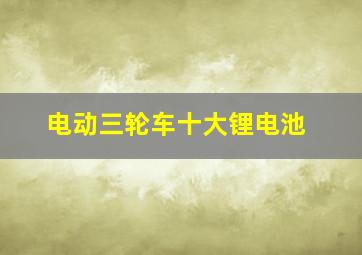 电动三轮车十大锂电池