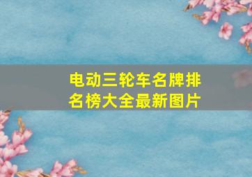 电动三轮车名牌排名榜大全最新图片