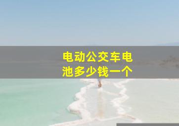 电动公交车电池多少钱一个