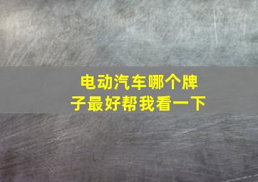 电动汽车哪个牌子最好帮我看一下