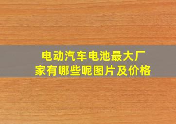 电动汽车电池最大厂家有哪些呢图片及价格