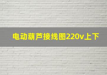 电动葫芦接线图220v上下