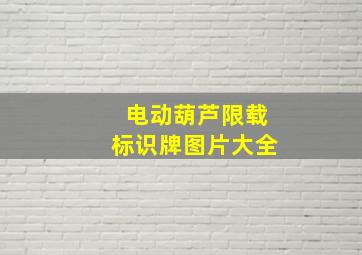 电动葫芦限载标识牌图片大全