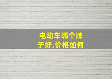 电动车哪个牌子好,价格如何