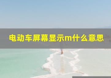 电动车屏幕显示m什么意思