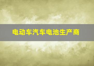 电动车汽车电池生产商