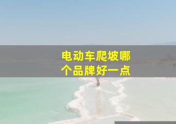 电动车爬坡哪个品牌好一点