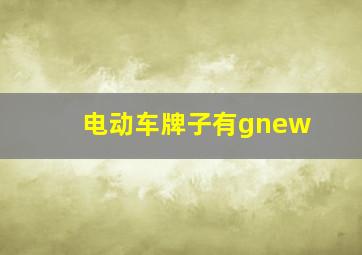 电动车牌子有gnew