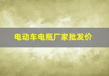 电动车电瓶厂家批发价