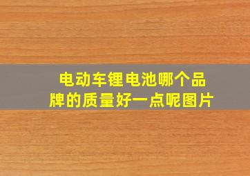 电动车锂电池哪个品牌的质量好一点呢图片