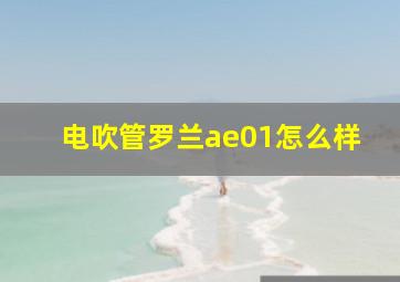 电吹管罗兰ae01怎么样