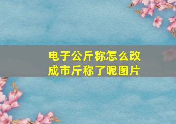 电子公斤称怎么改成市斤称了呢图片