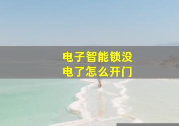 电子智能锁没电了怎么开门