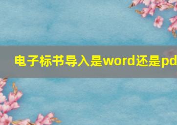 电子标书导入是word还是pdf