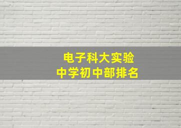 电子科大实验中学初中部排名