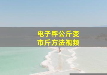 电子秤公斤变市斤方法视频