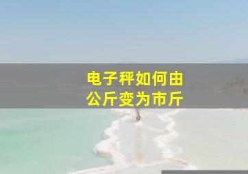 电子秤如何由公斤变为市斤