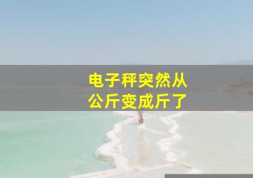 电子秤突然从公斤变成斤了