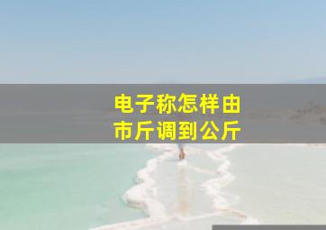 电子称怎样由市斤调到公斤