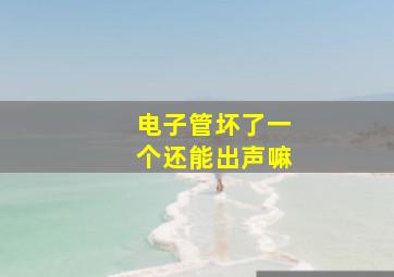 电子管坏了一个还能出声嘛