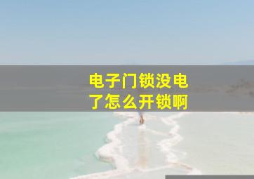 电子门锁没电了怎么开锁啊