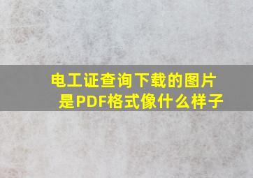 电工证查询下载的图片是PDF格式像什么样子