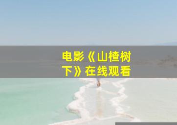 电影《山楂树下》在线观看