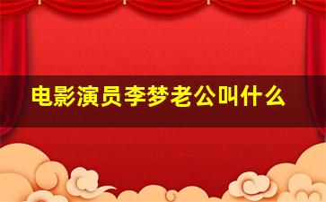 电影演员李梦老公叫什么