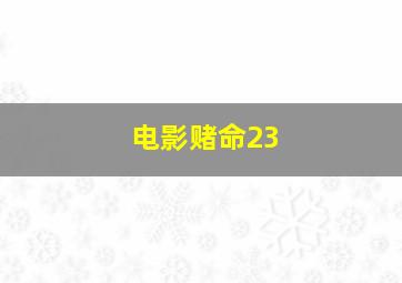 电影赌命23