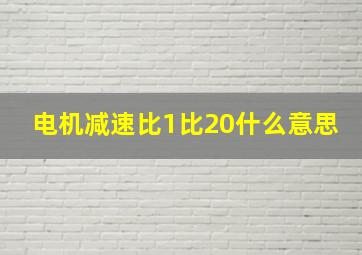 电机减速比1比20什么意思