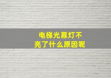 电梯光幕灯不亮了什么原因呢